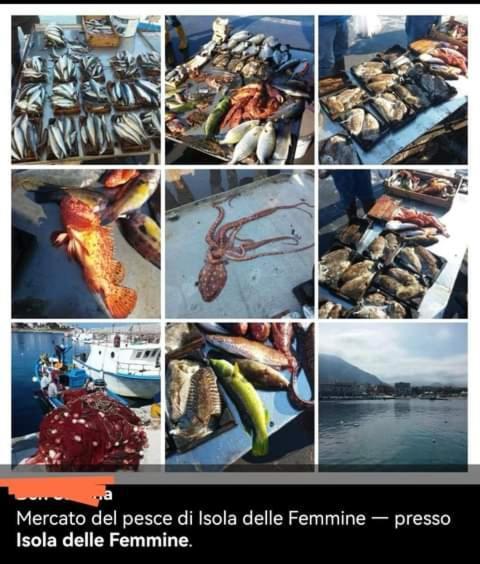 Casa Alice Hotell Isola delle Femmine Eksteriør bilde